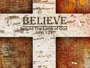 Read more about the article John 1v29 Behold The Lamb of God