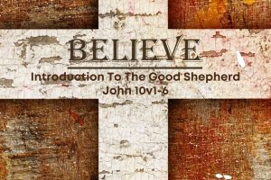 Read more about the article John 10v1-6