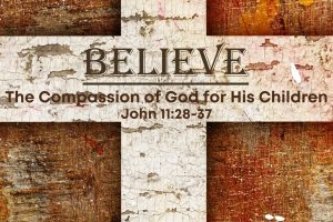 Read more about the article John 11v28-37