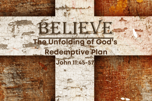 Read more about the article John 11v45-57