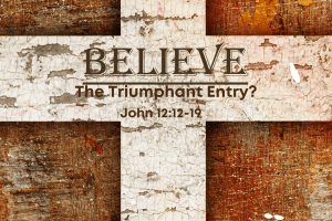 Read more about the article John 12v12-19
