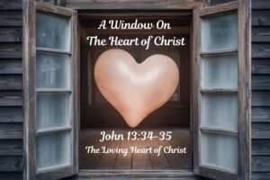 Read more about the article John 13v34-35
