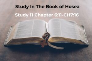 Hosea 6v11-7v16