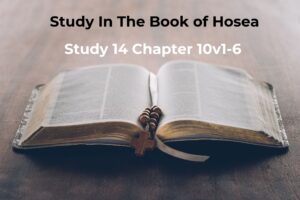 Hosea 10v1-6