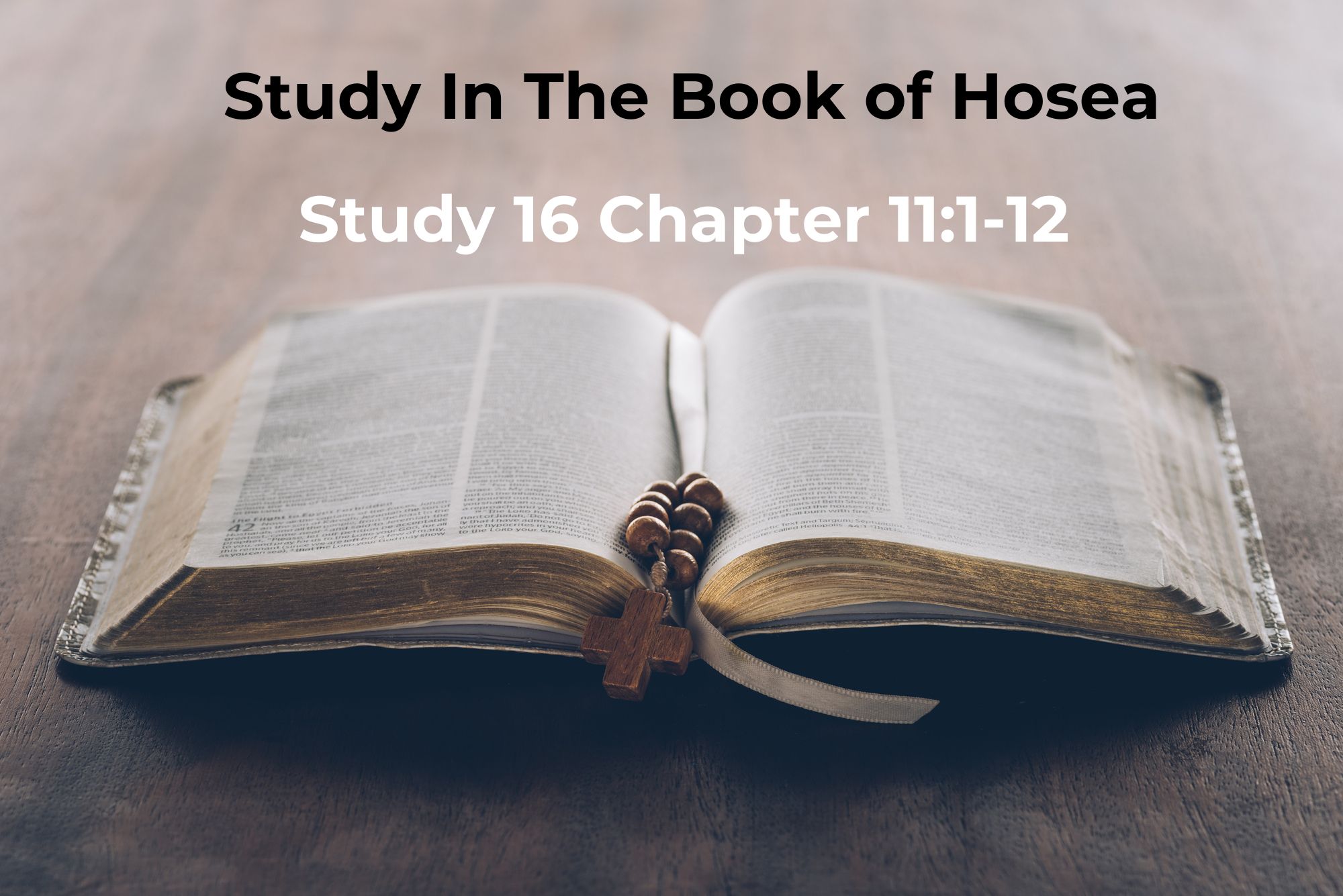 Read more about the article Hosea Chapter 11