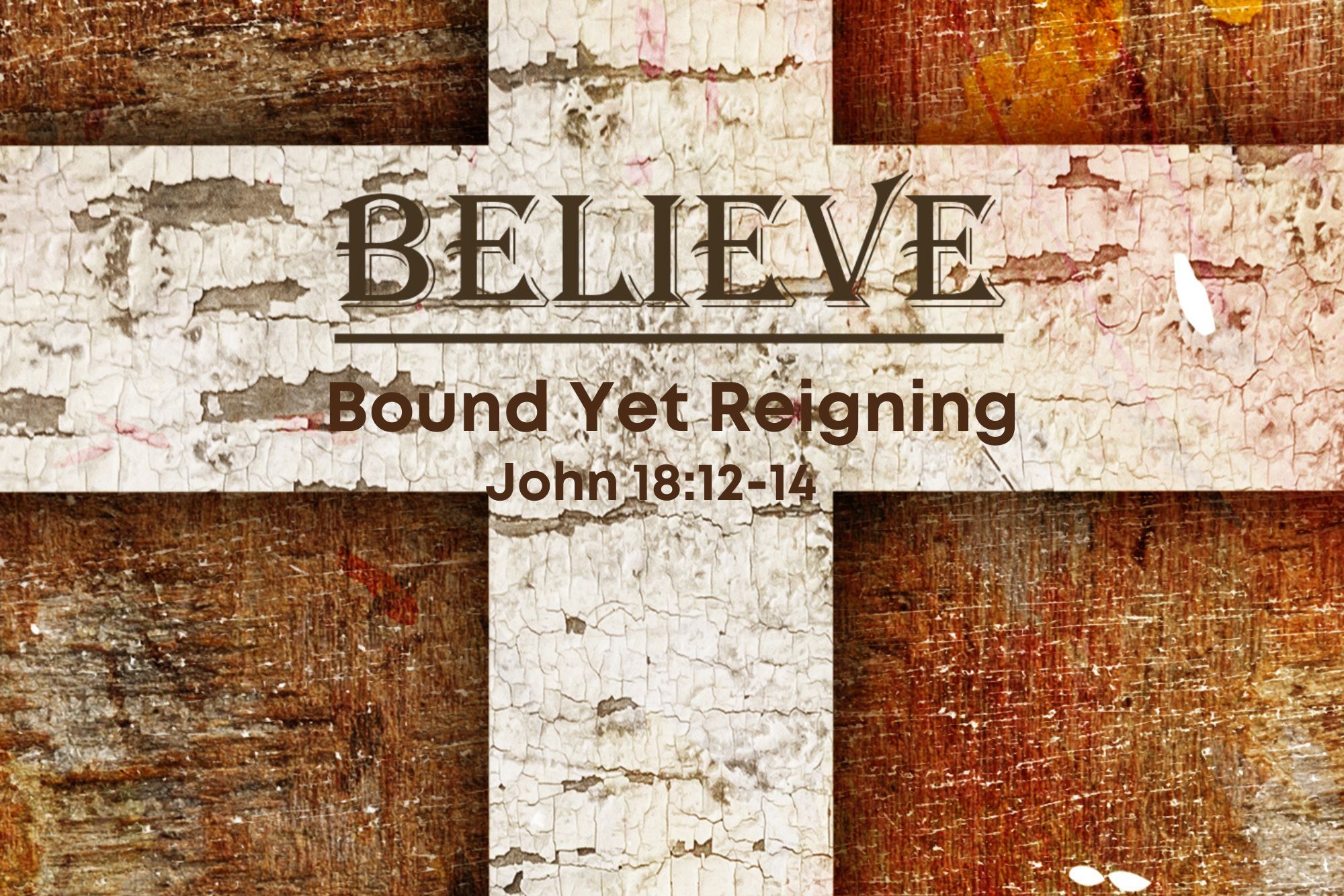 Read more about the article John 18v12-14