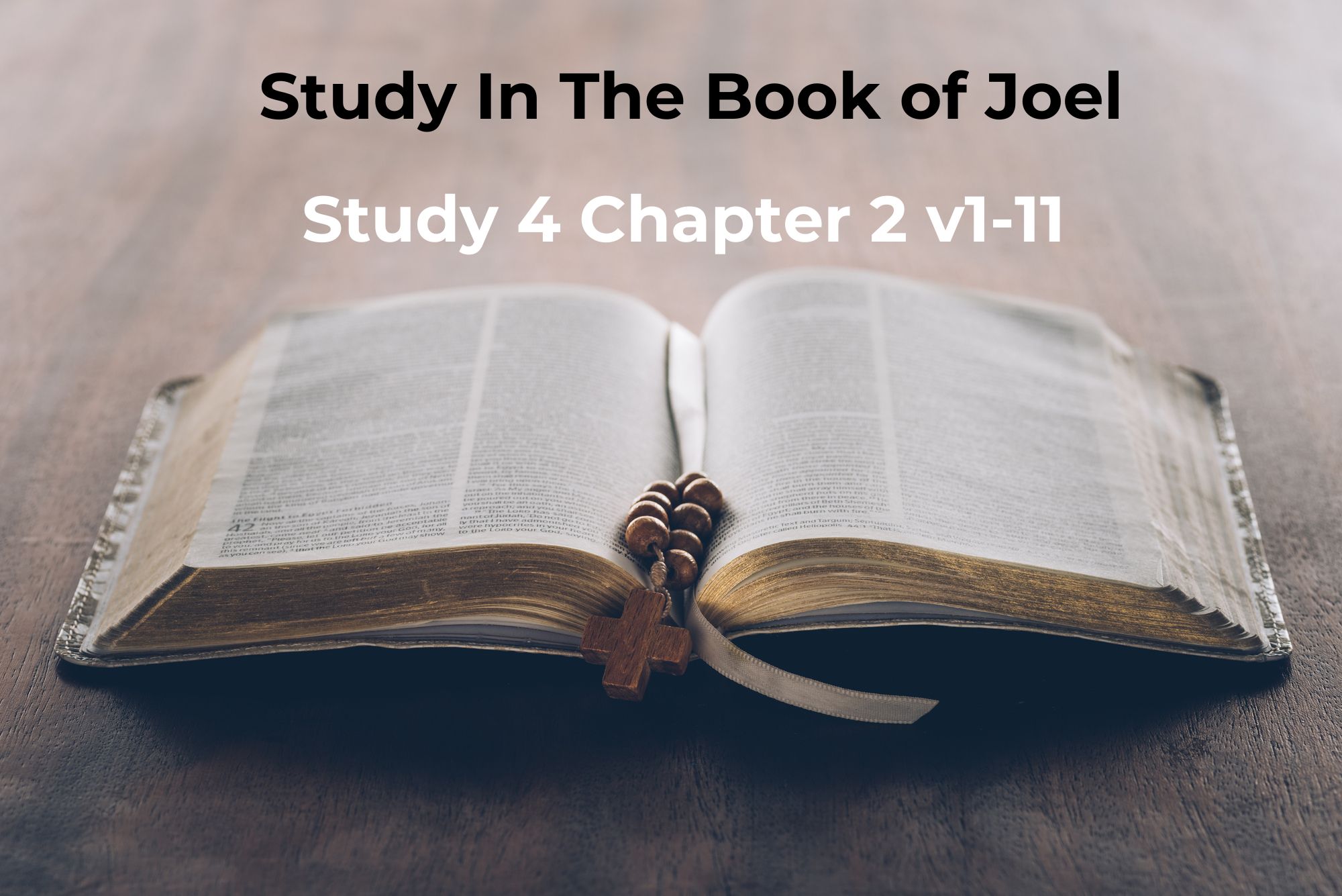 You are currently viewing Joel Chapter 2v1-11
