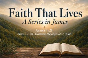 James 1v21 banner