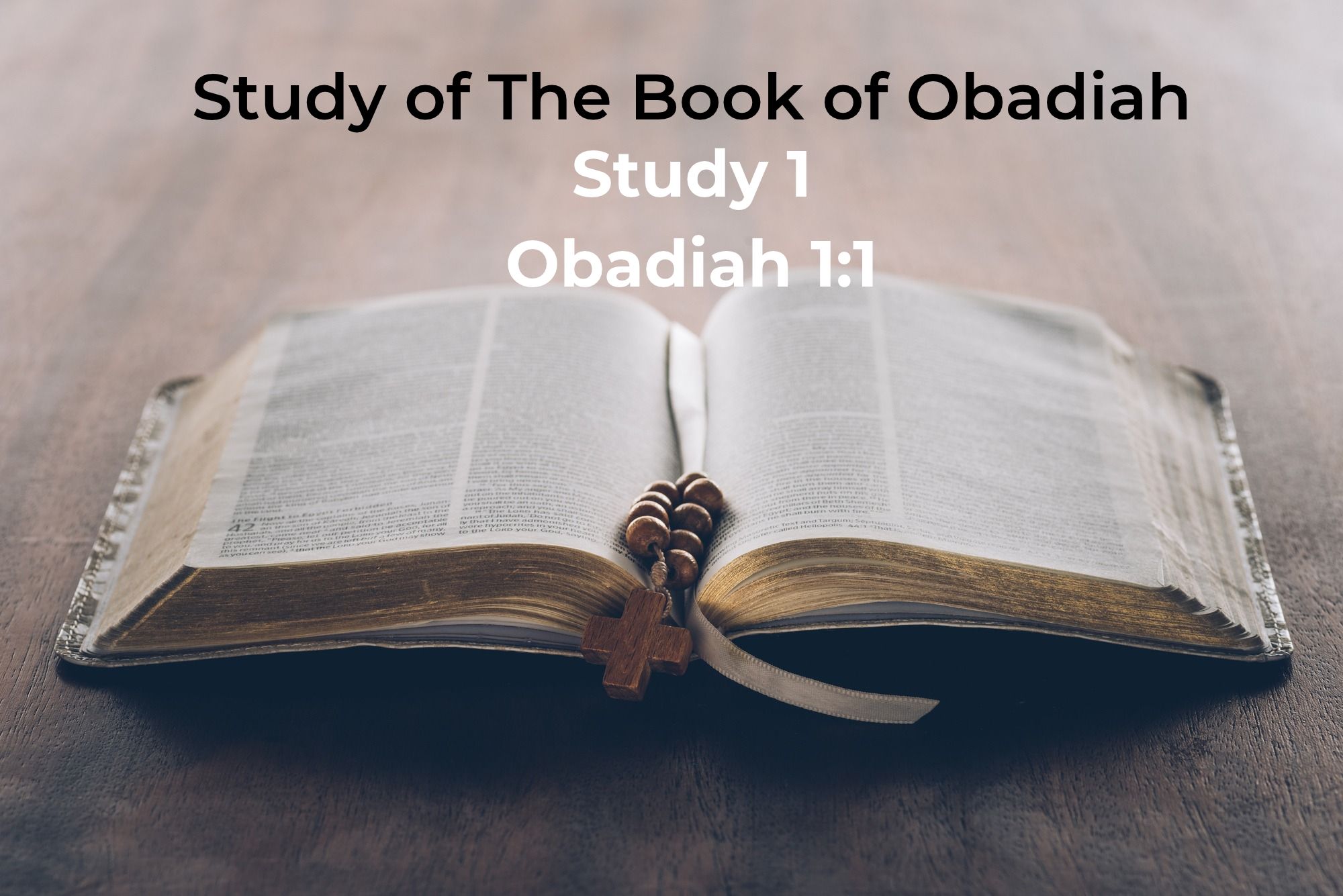 You are currently viewing Obadiah 1v1